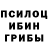 Псилоцибиновые грибы GOLDEN TEACHER Alina Zhusupova
