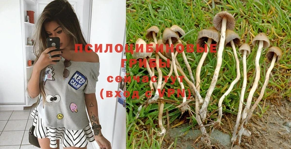 дурь Бугульма