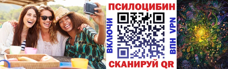 Псилоцибиновые грибы Psilocybe  omg   Бобров 